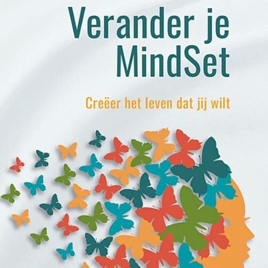 Kleurrijke vlinders en silhouet van een hoofd met de tekst "Verander je MindSet".