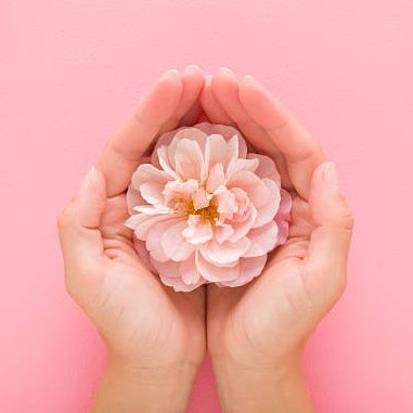 Twee handen houden een mooie roze bloem zacht vast, een zacht roze achtergrond.